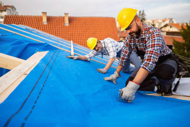 Best Metal Roofing Contractor  in Laureles, TX